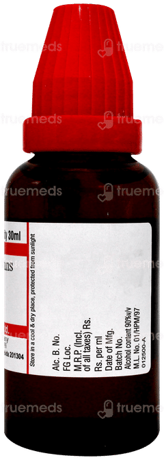 Dr Willmar Schwabe Pulsatilla Nigricans 200ch Dilution 30ml